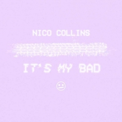 Nico Collins - Its My Bad